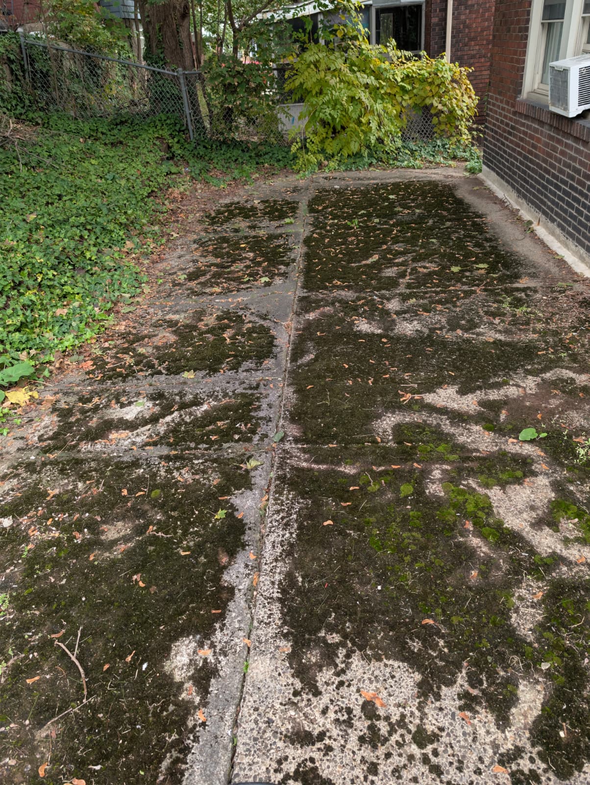 WhatsApp Image 2025 10 25 at 2.24.56 PM